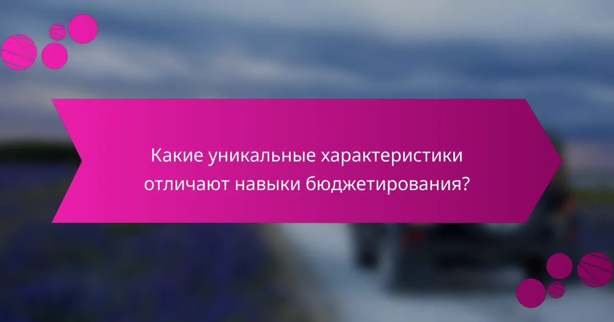 Какие уникальные характеристики отличают навыки бюджетирования?