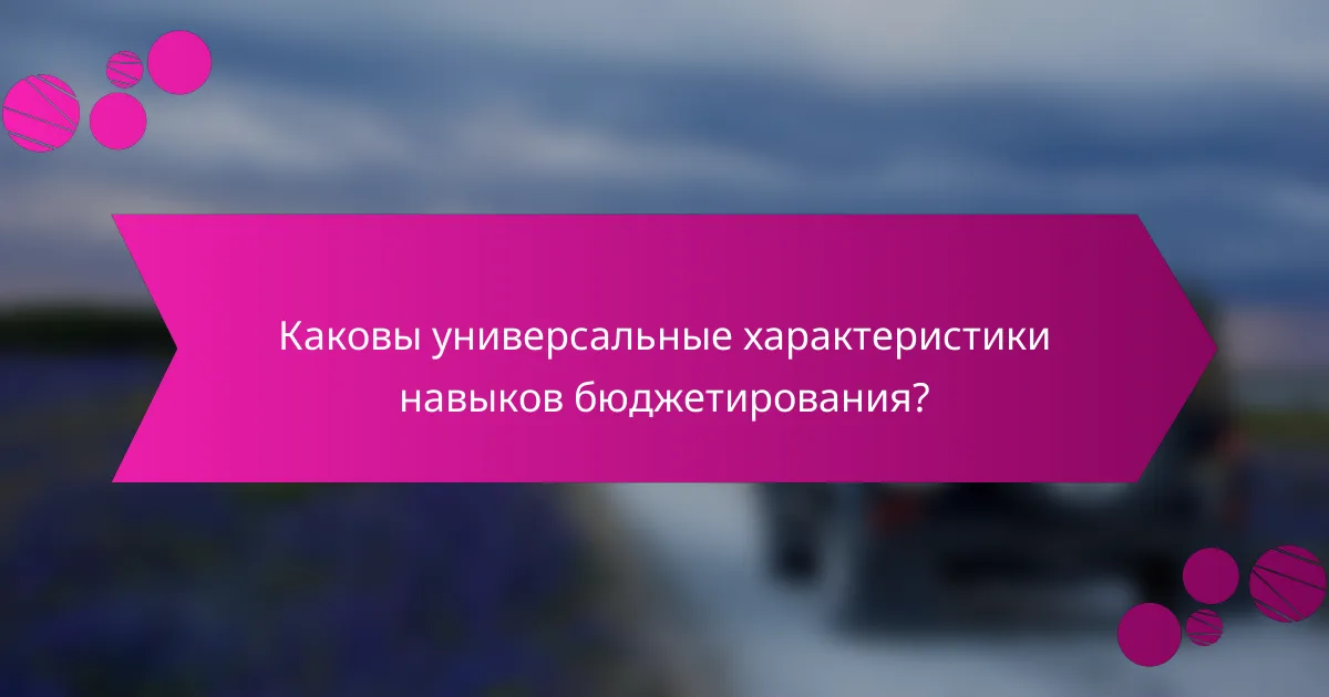 Каковы универсальные характеристики навыков бюджетирования?